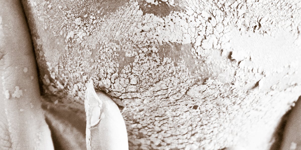 branding sensorial dropshipping